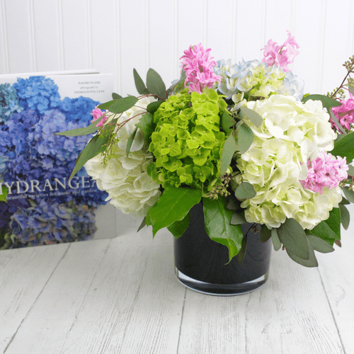 Heritage of Hydrangea